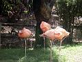 21a - Jardin Tropical 029